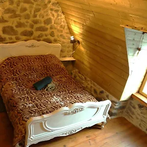 La Verte Salamandre , Allanche France